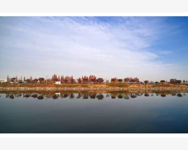贫血老人吃什么补品？中医智慧为您解答