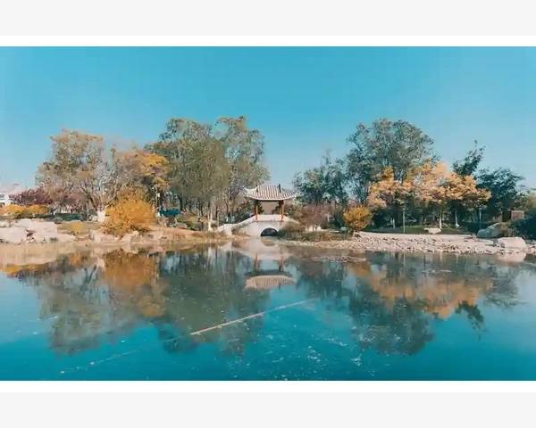 拔罐：探索中医疗法 预防与调理气血不足的奥秘